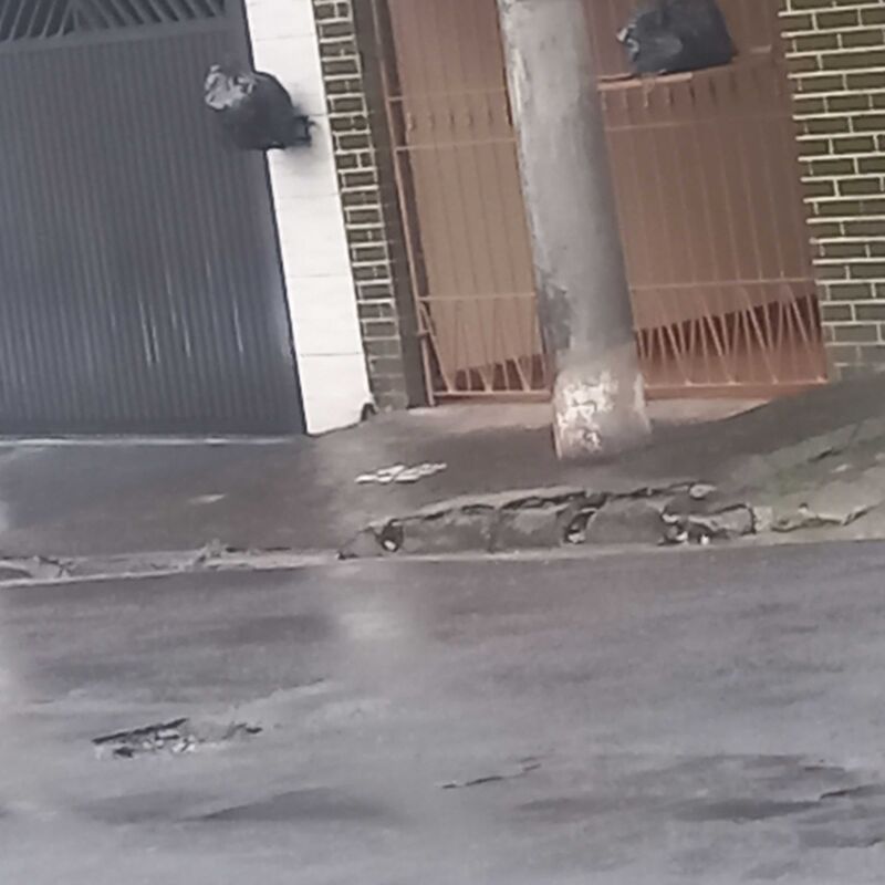 Imagem da publicação