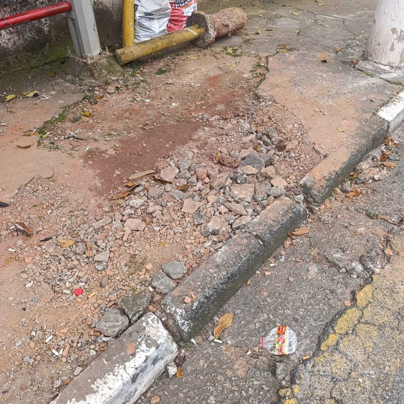 Imagem da publicação