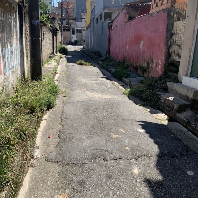 Imagem da publicação