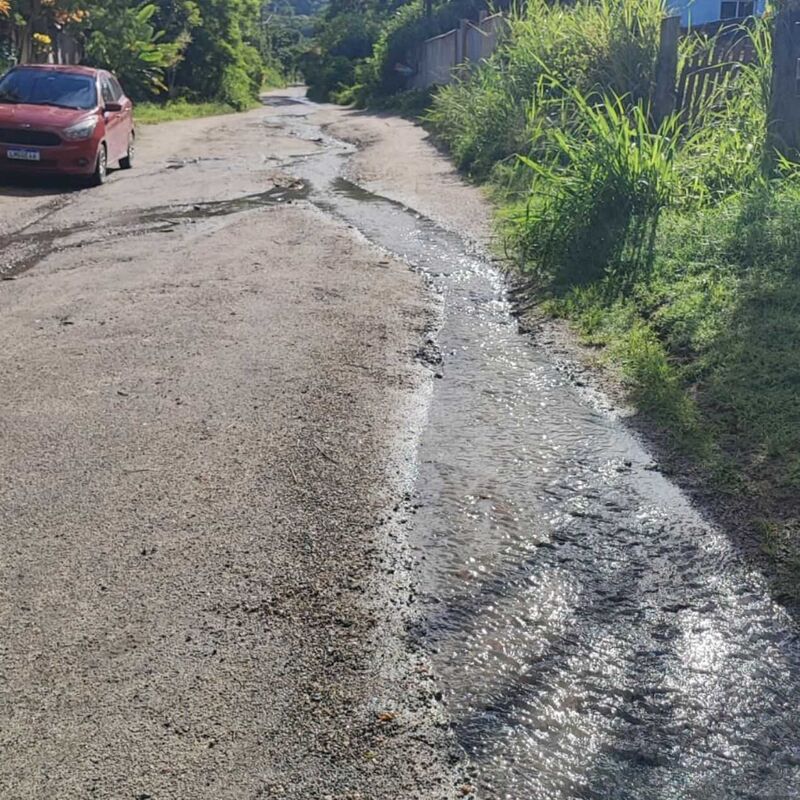 Imagem da publicação
