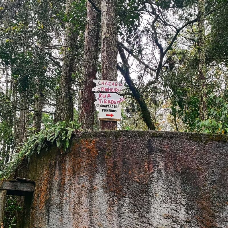 Imagem da publicação