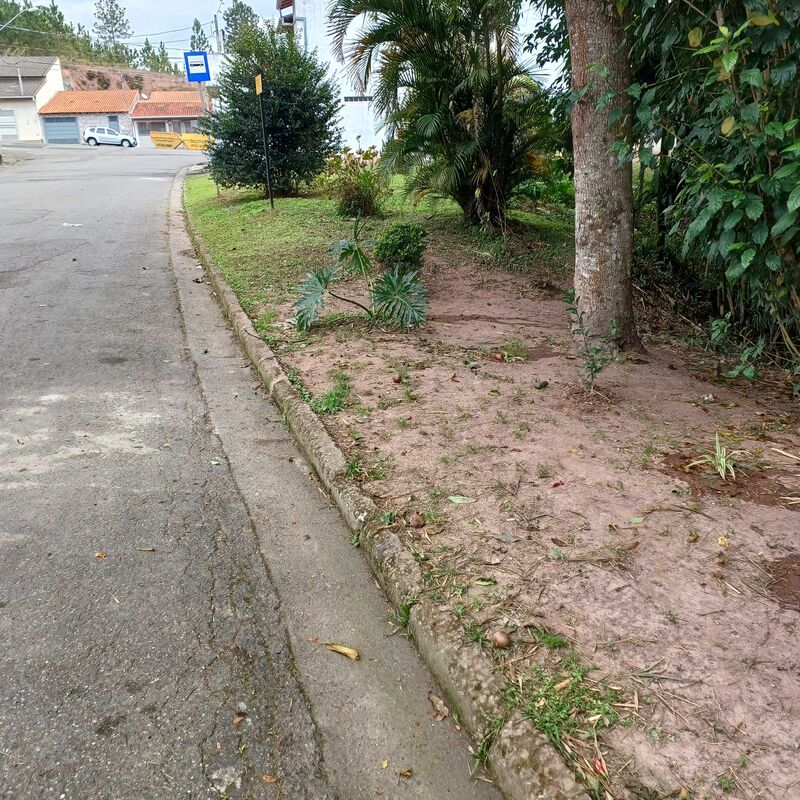 Imagem da publicação
