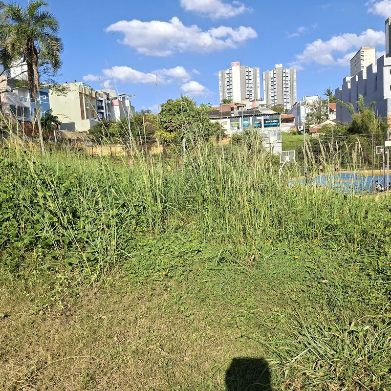 Imagem da publicação