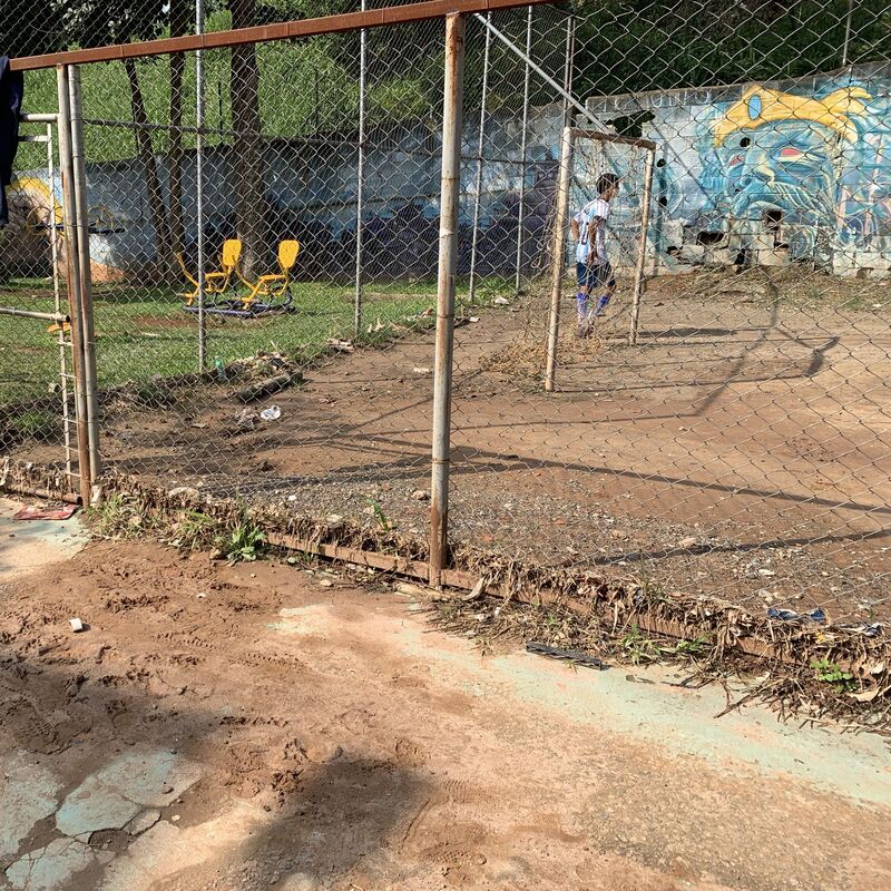 Imagem da publicação