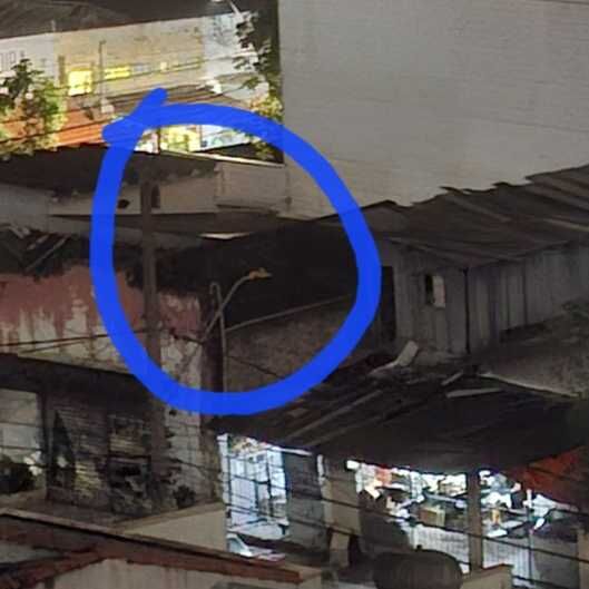 Imagem da publicação