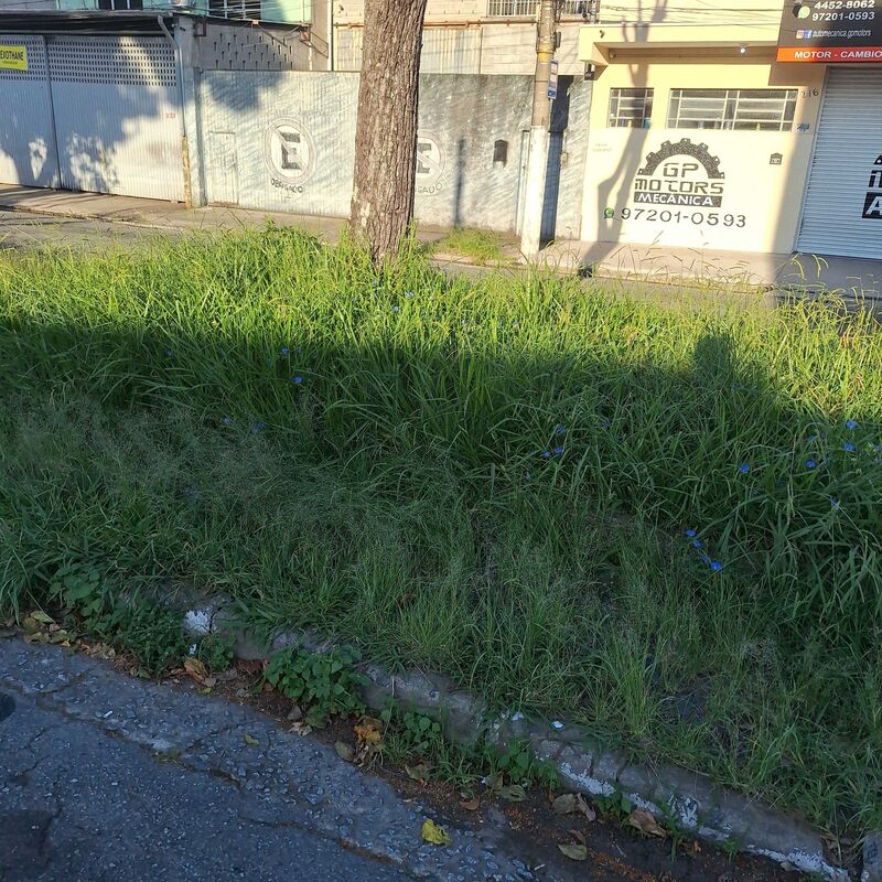 Imagem da publicação