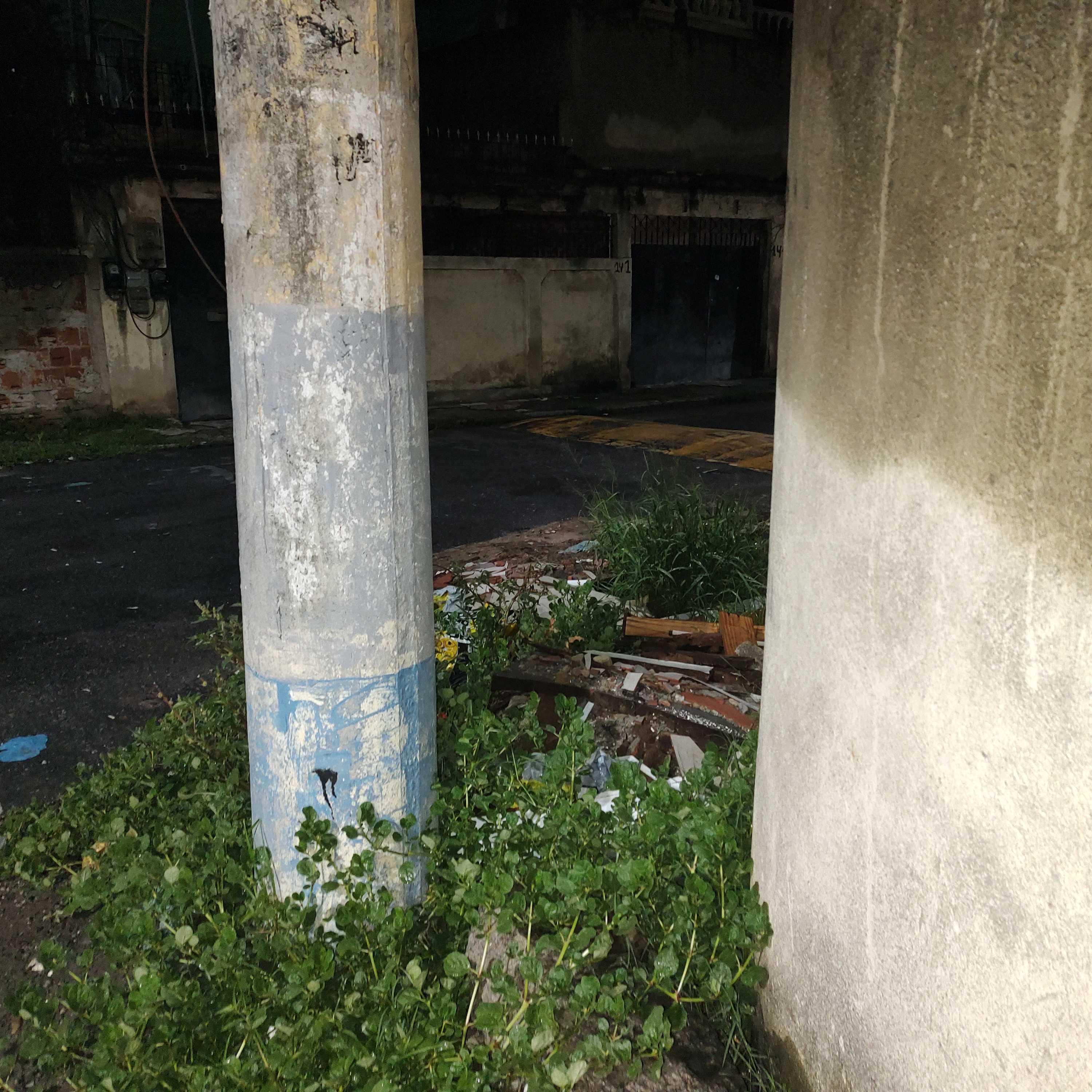 Imagem da publicação