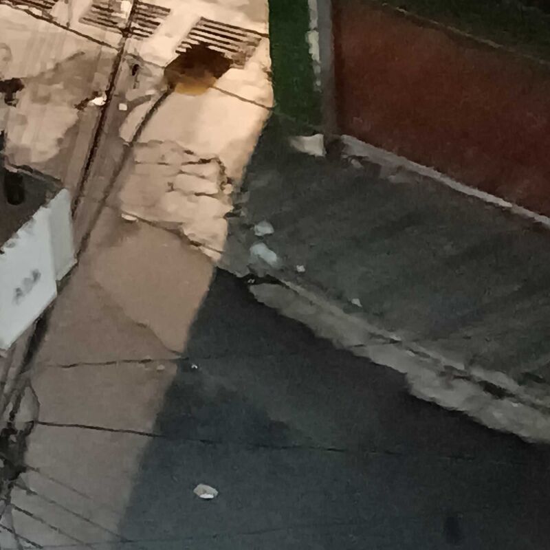 Imagem da publicação