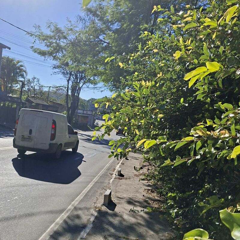 Imagem da publicação