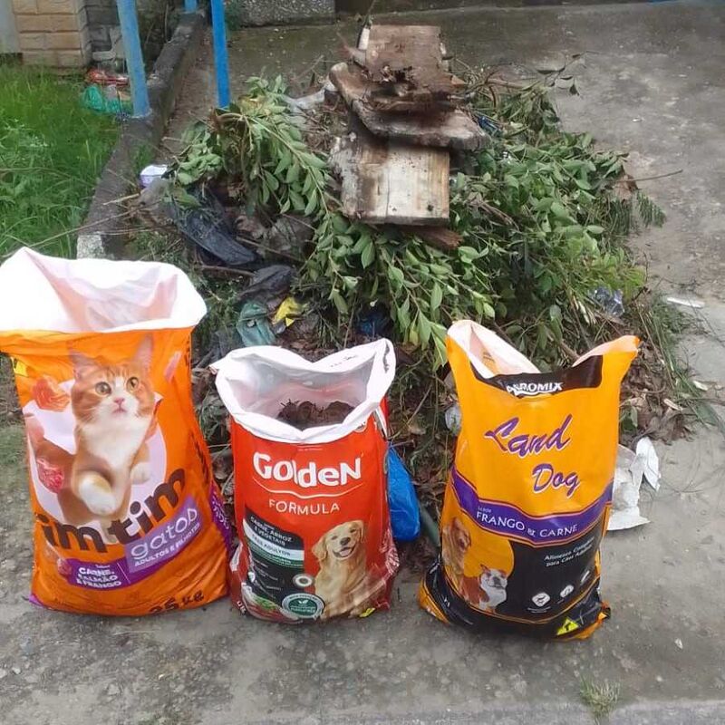 Imagem da publicação
