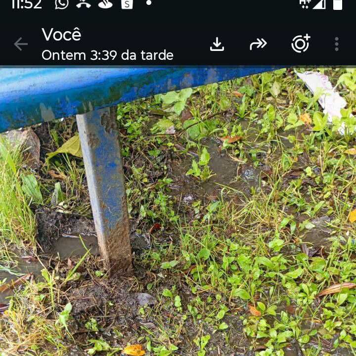 Imagem da publicação