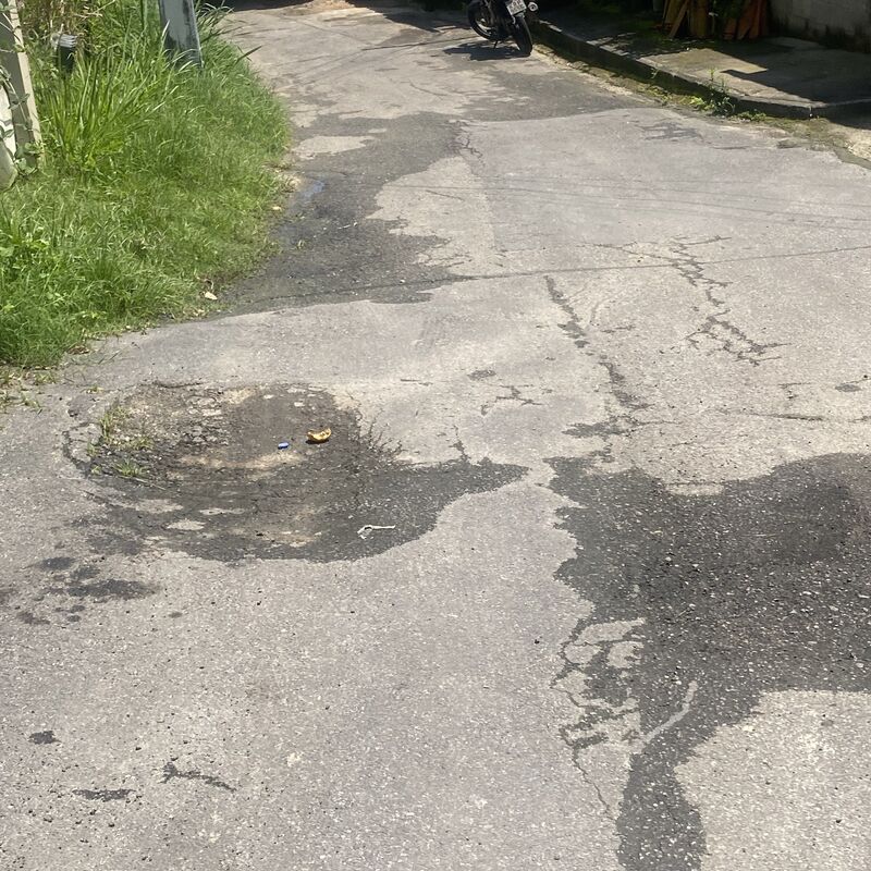 Imagem da publicação