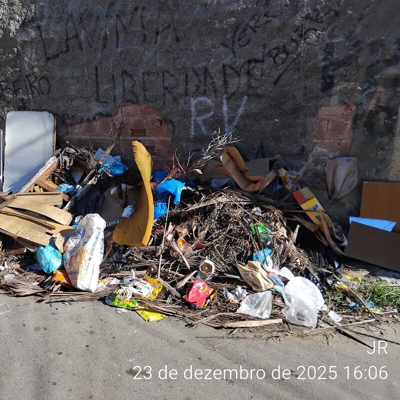 Imagem da publicação