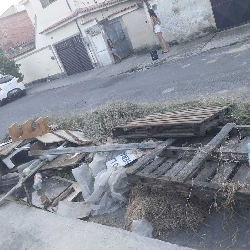 Imagem da publicação