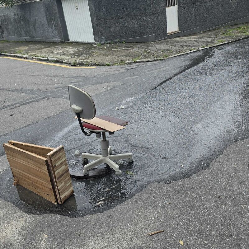 Imagem da publicação