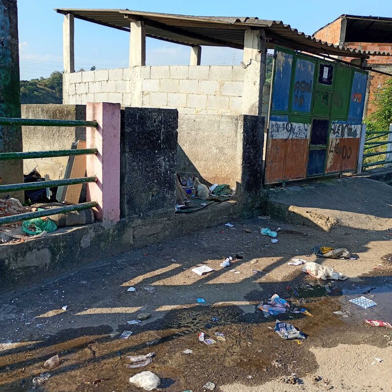 Imagem da publicação