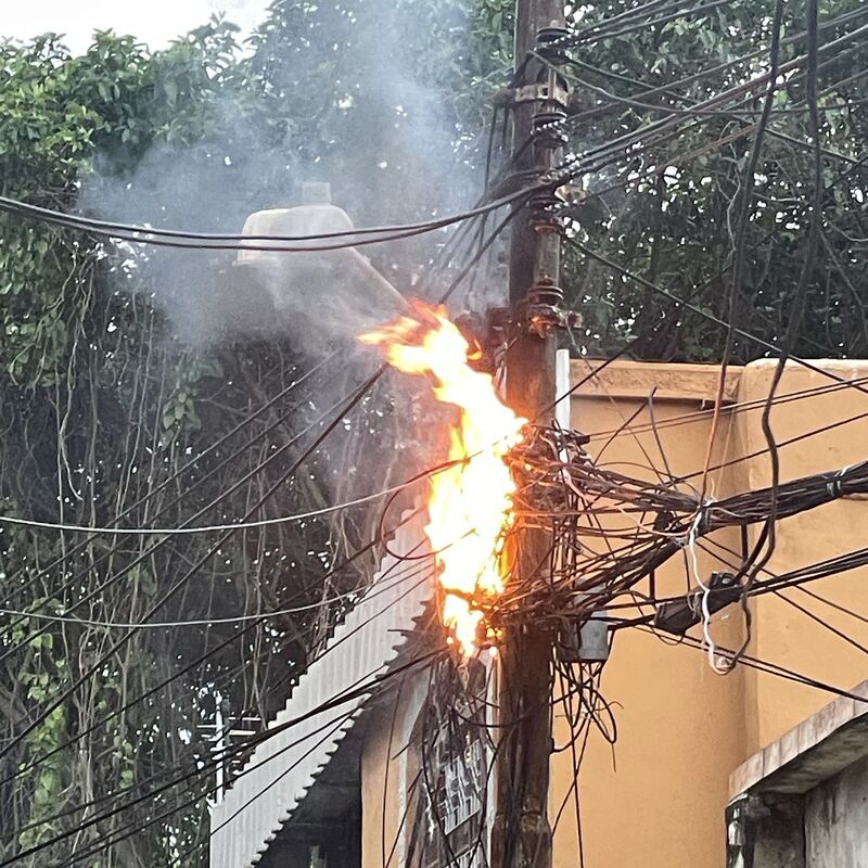 Imagem da publicação