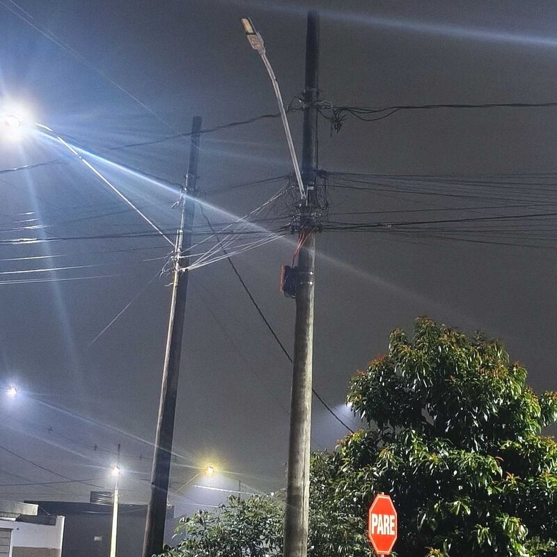 Imagem da publicação