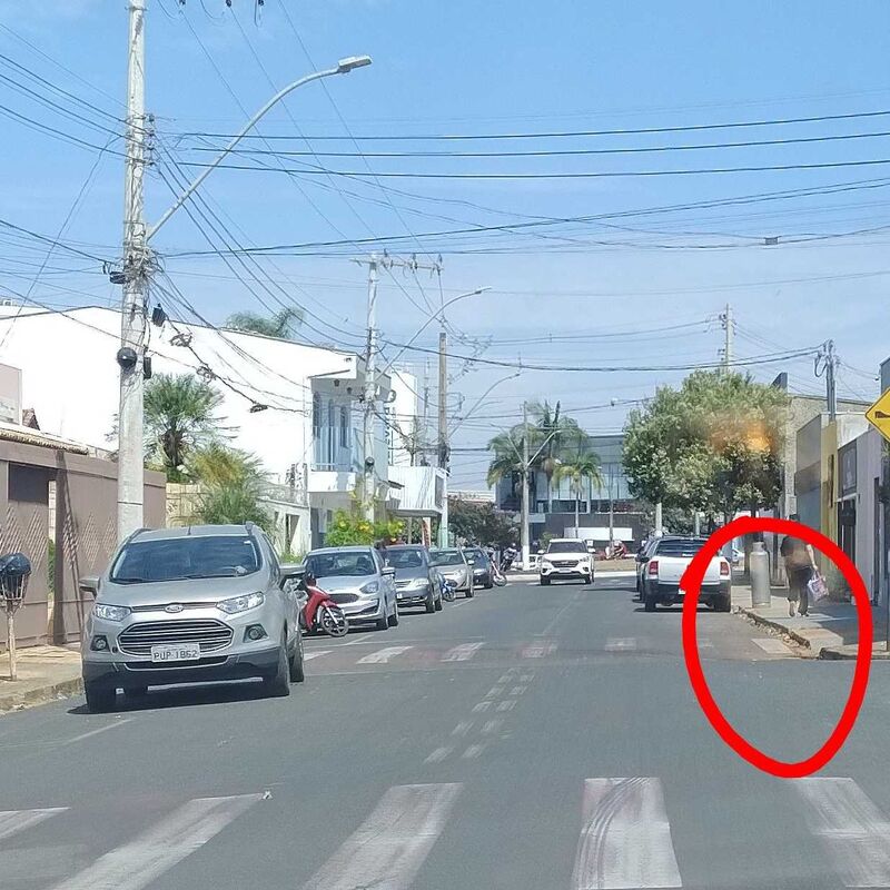 Imagem da publicação