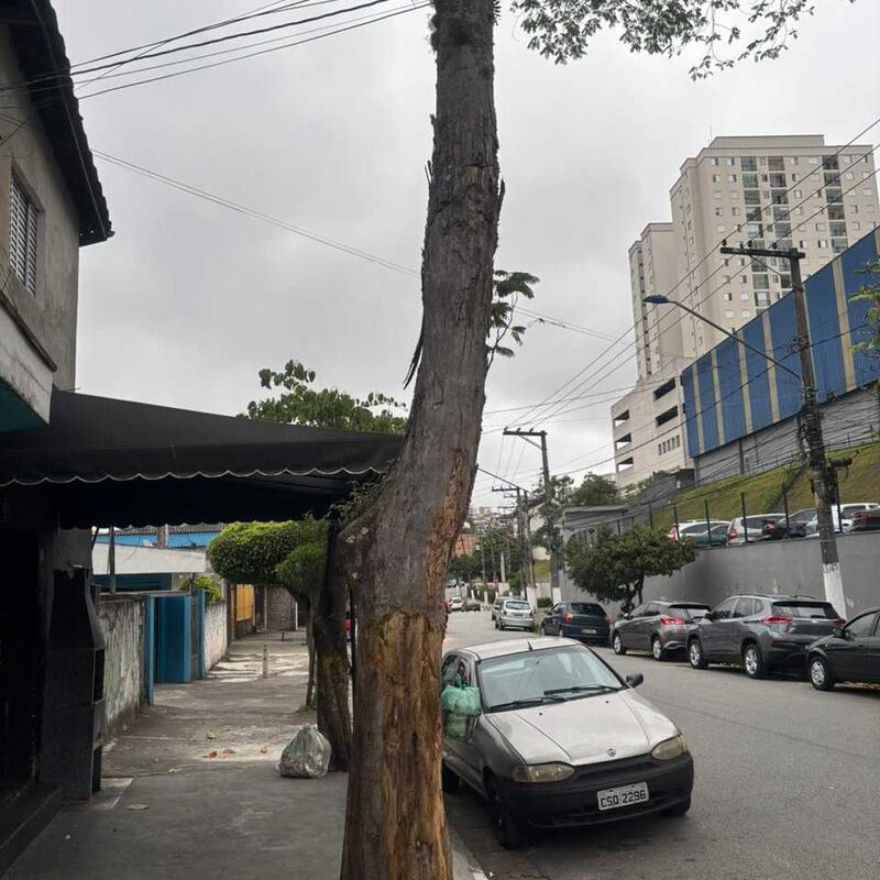 Imagem da publicação