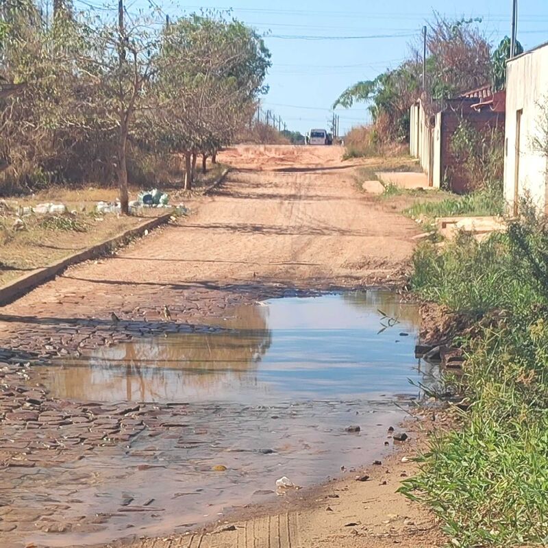 Imagem da publicação