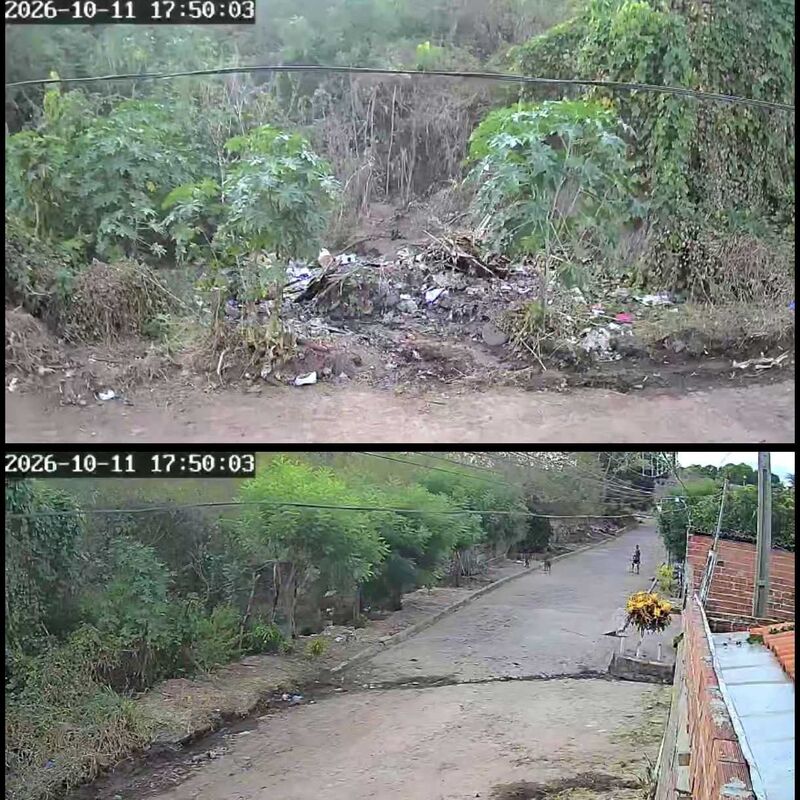 Imagem da publicação