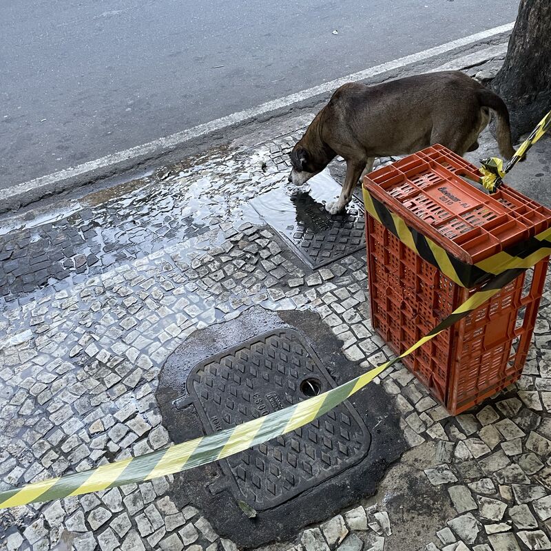 Imagem da publicação
