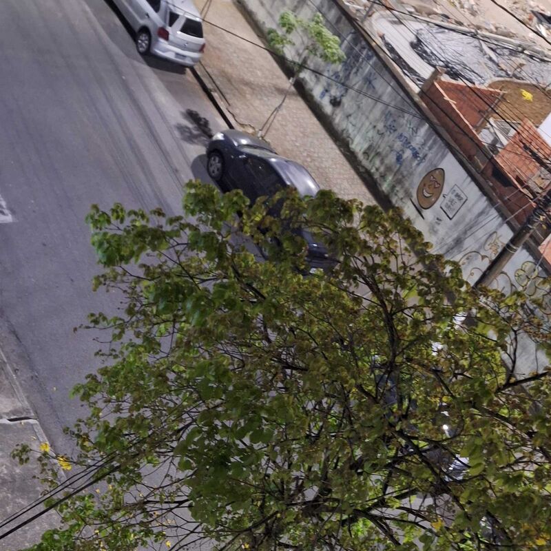 Imagem da publicação