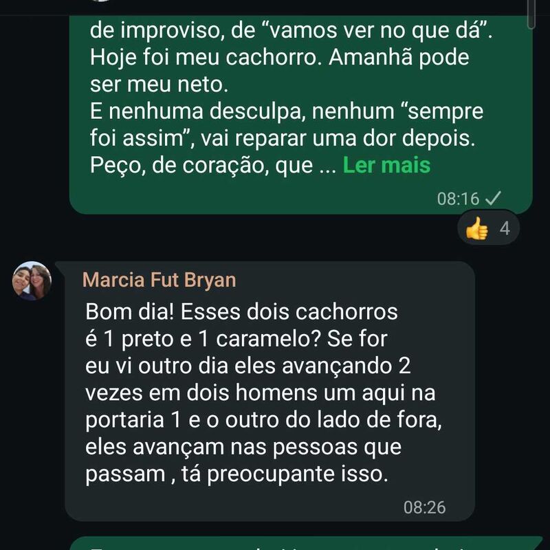 Imagem da publicação