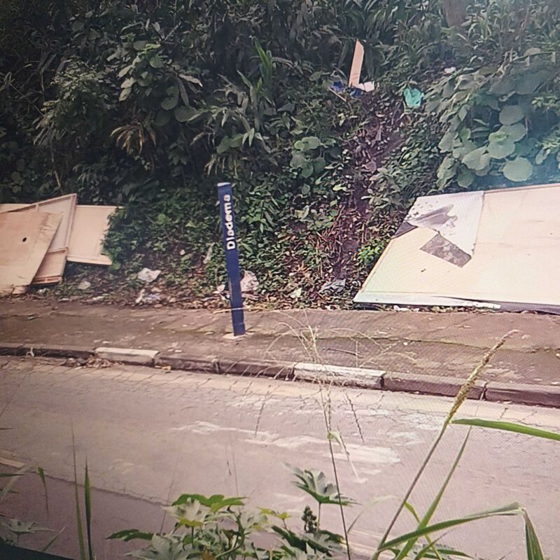 Imagem da publicação