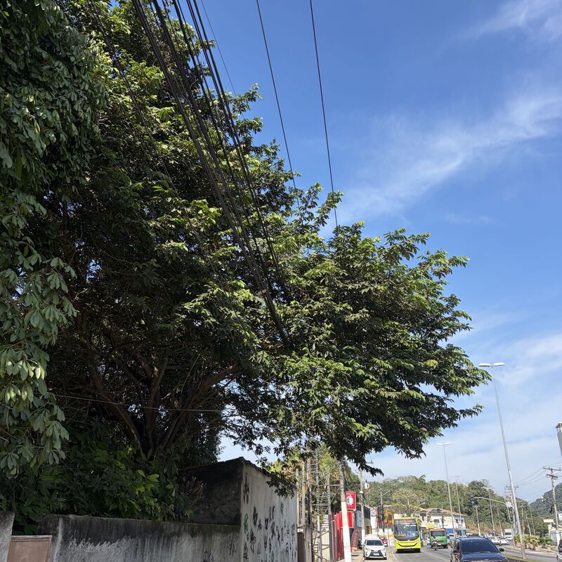 Imagem da publicação