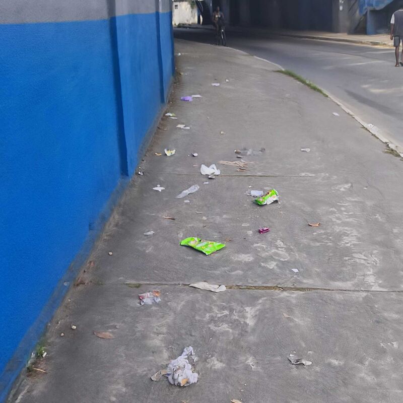 Imagem da publicação