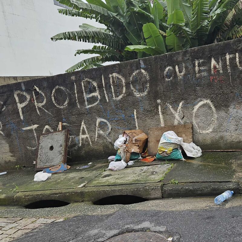 Imagem da publicação