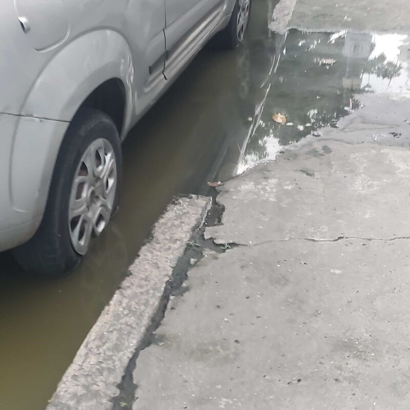 Imagem da publicação