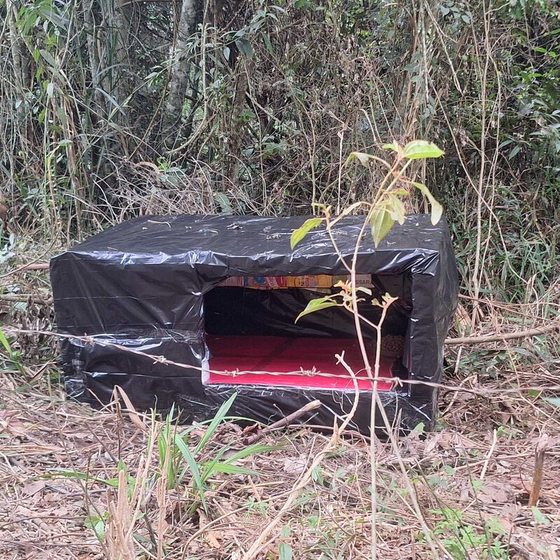 Imagem da publicação
