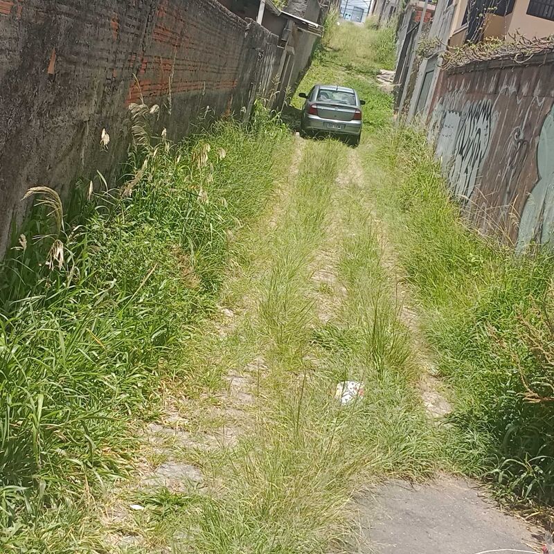 Imagem da publicação