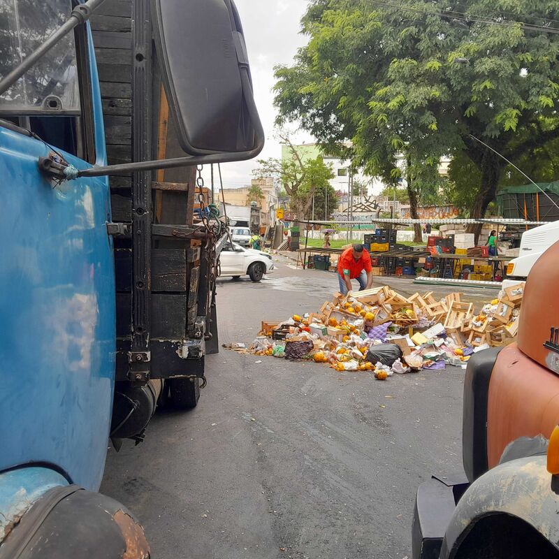 Imagem da publicação