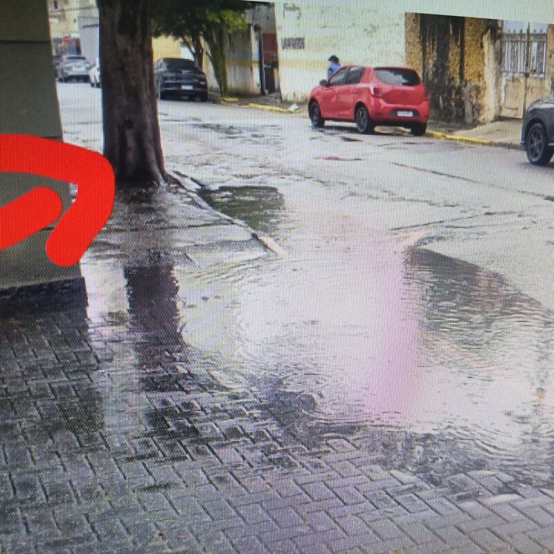 Imagem da publicação