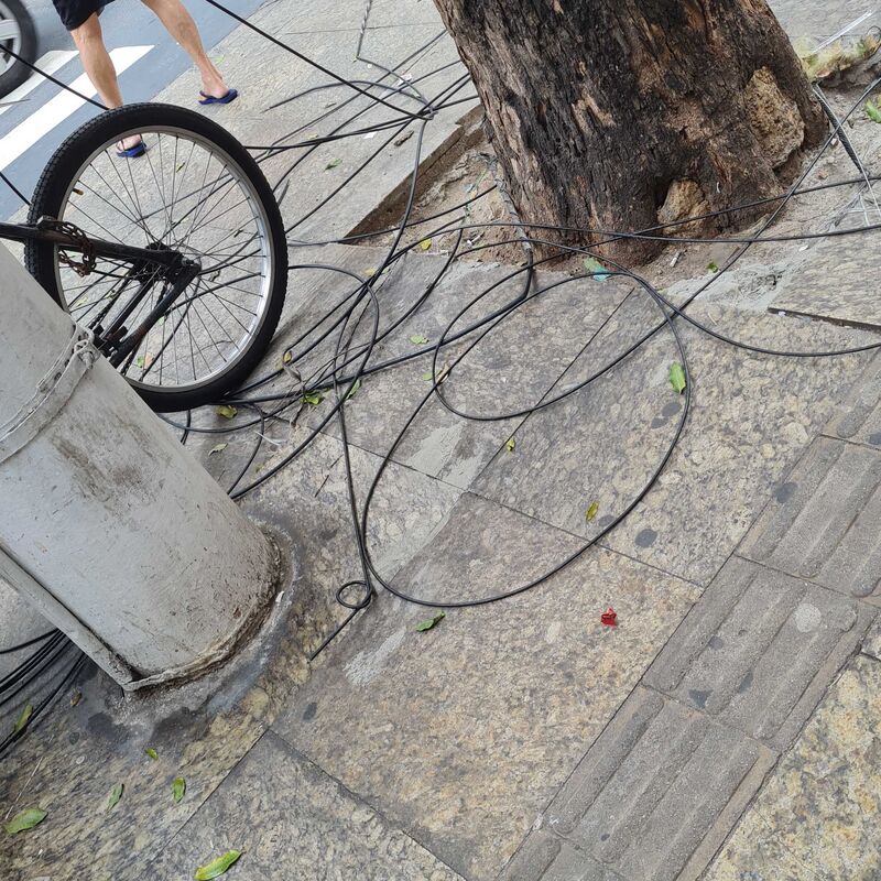 Imagem da publicação