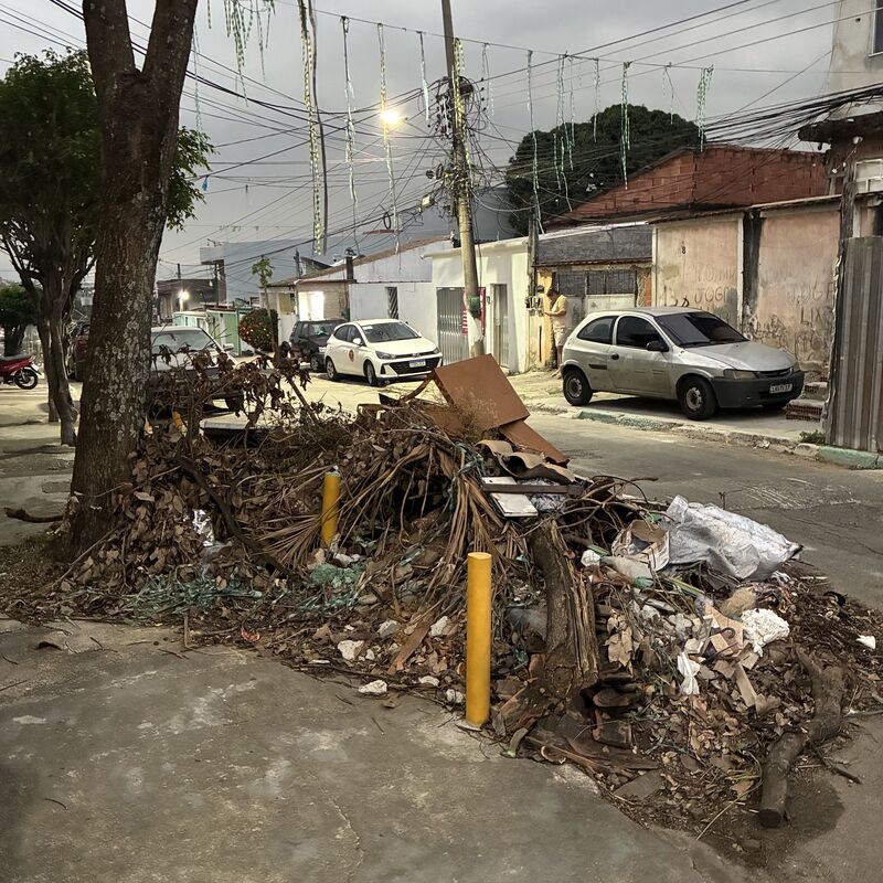 Imagem da publicação