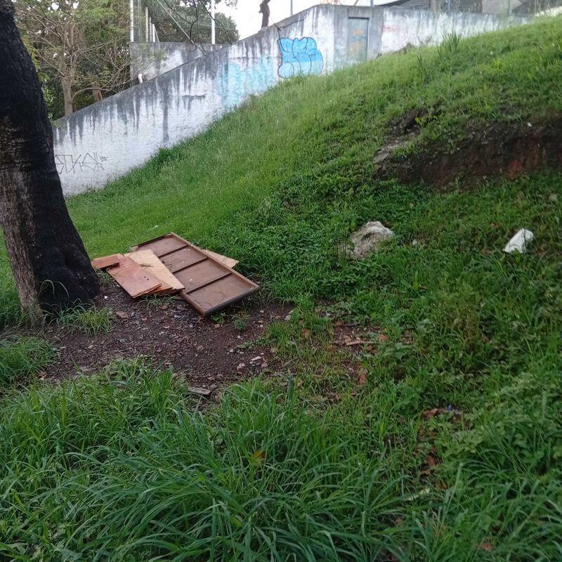 Imagem da publicação