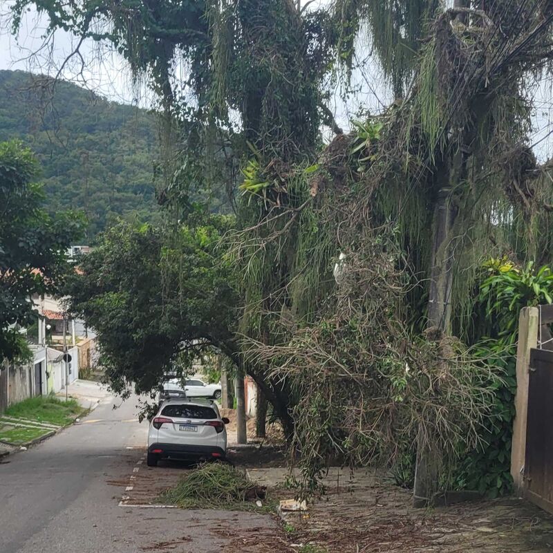 Imagem da publicação