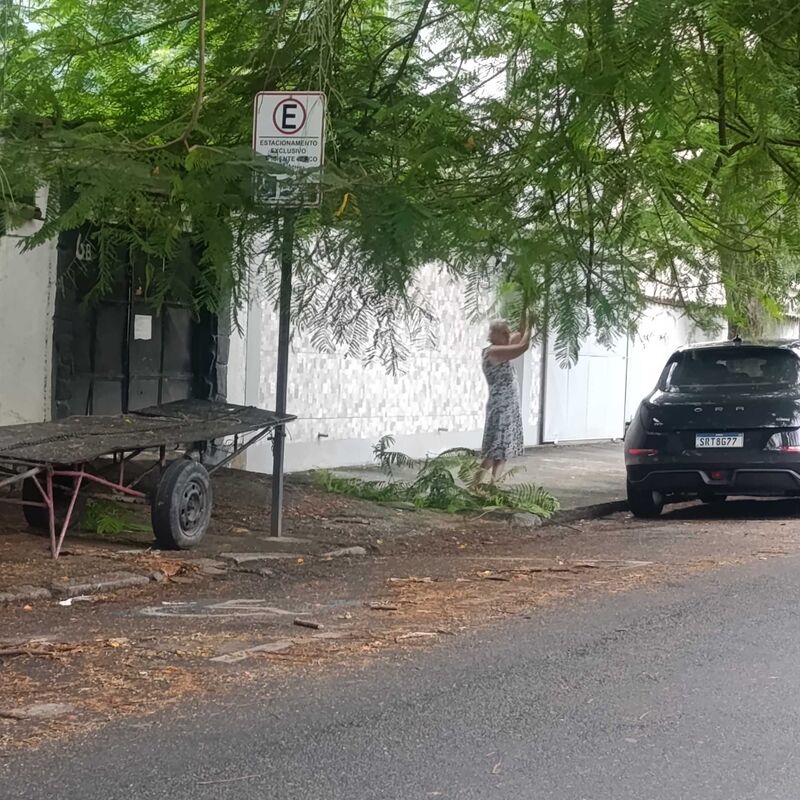 Imagem da publicação