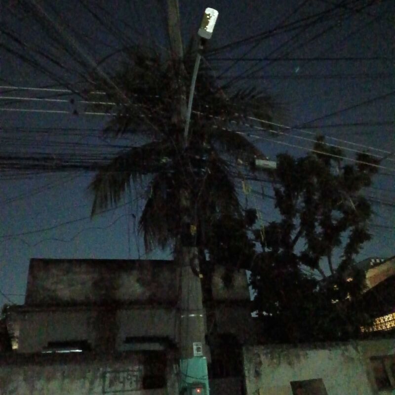 Imagem da publicação