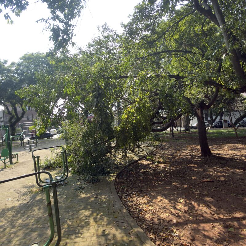 Imagem da publicação