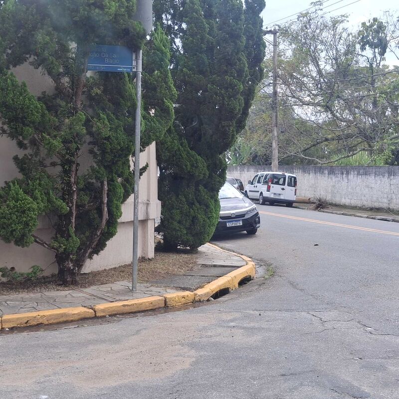 Imagem da publicação