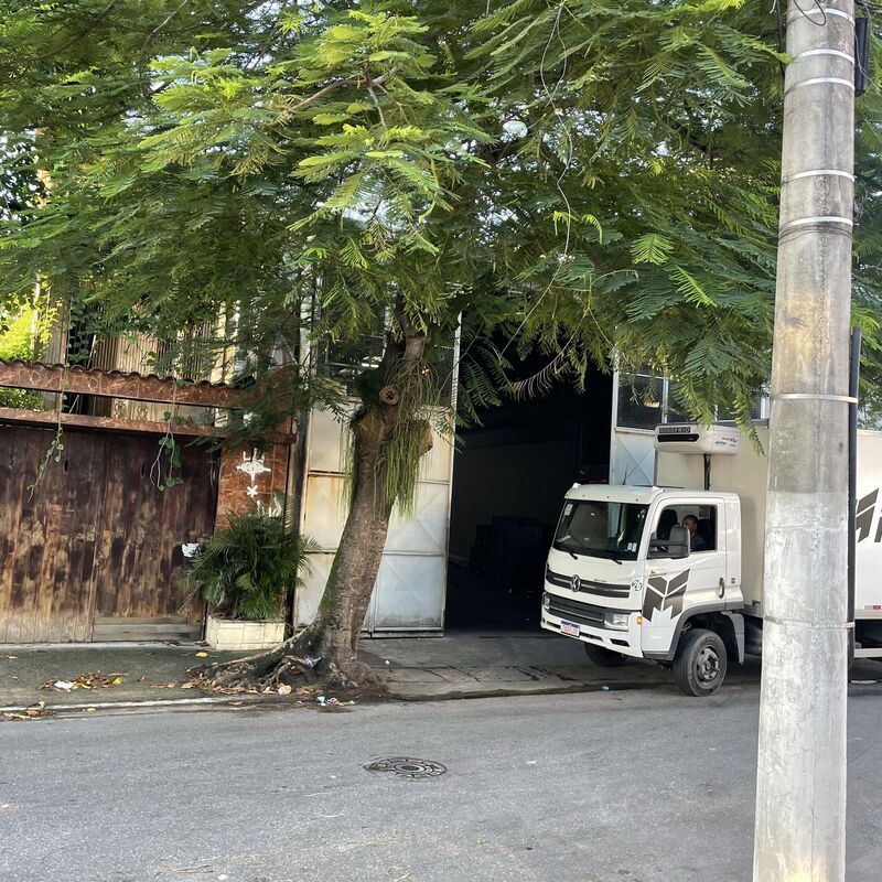 Imagem da publicação