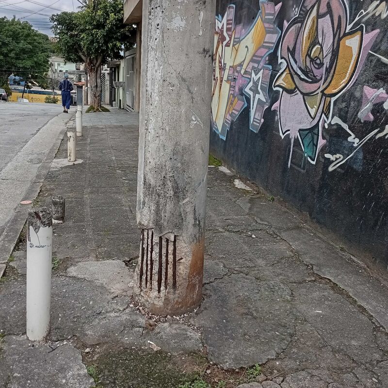 Imagem da publicação