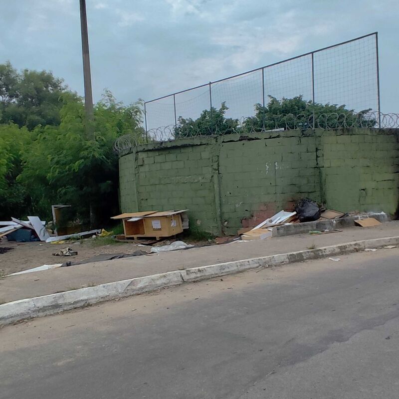 Imagem da publicação