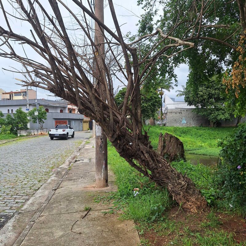 Imagem da publicação